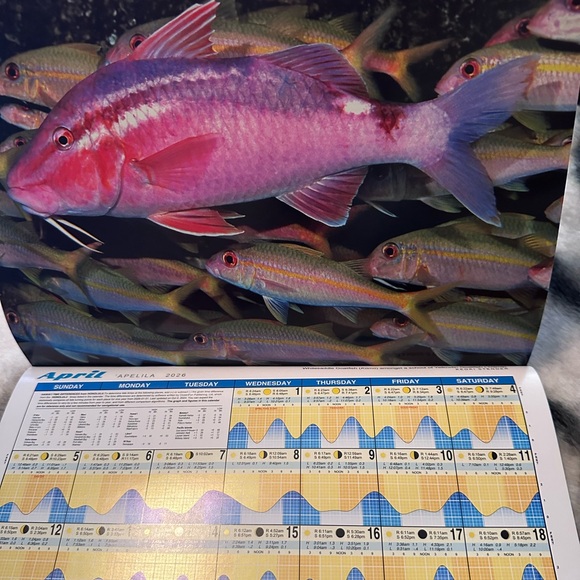 721. Hawaii Marine Tide & Moon Phase 2026 Hawaiian Twelve-Month Wall Calendar - Picture 2 of 5